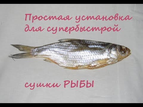 Камера для вялки рыбы видео