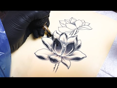 รอยสักดอกบัว เทคนิคลงเส้นและลงเงา เรียนสักออนไลน์ ตัวอย่างวีดีโอสอนVLOG/00 /MIMPTATTOO