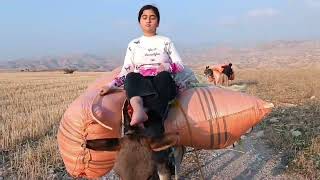 The Magic Of Donkey Riding Village Girls And Their Amazing Stories