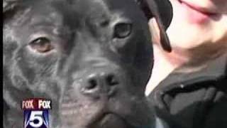 Fox 5 Vick Pit Bulls Brandon Bond Georgia Spca Rescue