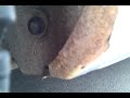 My Mazda - My epic fail... My Mazda - My epic fail...