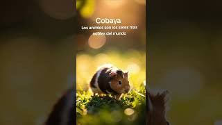Cobaya