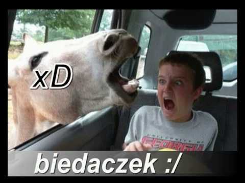 Śmieszne tapety - YouTube
