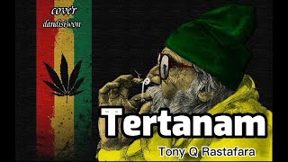 Tertanam - Tony Q Rastafara Reggae version [Lirik] by Dandisiwon
