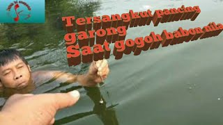 Tersangkut Pancing Garong,Saat Gogoh Babon Nila