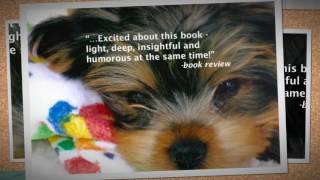 Gibber Animal Acrostics Video