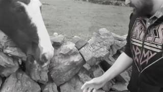 Strings & Things - The Safe Way Out (Official Music Video)