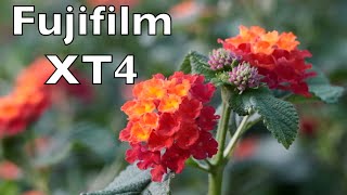 Test Fujifilm Xt4 2022