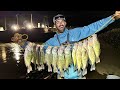 NIGHT FISHING for SPRINGTIME SLABS!!! The GIANT SPILLWAY was LOADED w/ Big Crappie and MORE! (Crazy)