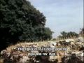 Carl Sagan - The Pioneers of Science 3/3