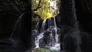 神秘自然 Kumamoto In Japan