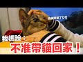 【好味小姐】我媽說帶貓就不要回去!可是現在...【好味貓日常】EP63