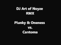 Plunky & Oneness vs. Cantoma DJ Art of Noyze RMX.wmv