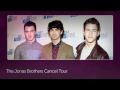 The Jonas Brothers' Sibling Rivalry! The Band Cancels 19-Date Tour Due to Creative Differences