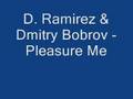 D. Ramirez & Dmitry Bobrov - Pleasure Me