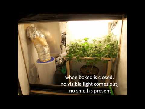 hydroponic developing mats