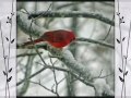 Chet Atkins "Snowbird" - Holiday Cheer ecards - Season's Greetings Greeting Cards