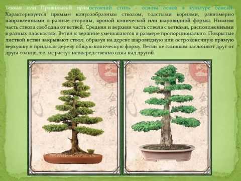 Это фото вы сможете посмотреть в категории Вязание на спицах модели кофт , Схемы и описания вязания летних беретов и Детские платья вязанные крючком