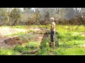 Видео Sophias Garden Biodynamic Herb Farm Tour in Sebastopol California