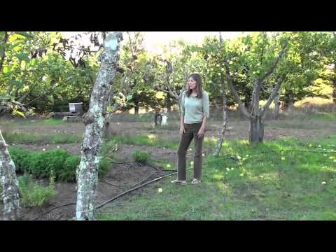 Sophias Garden Biodynamic Herb Farm Tour in Sebastopol California