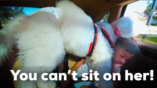 Mom Struggles In The Car 2