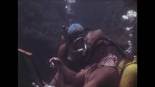 Underwater Artist: Oil painting under the sea. First Soviet underwater movie (1959) Blue Bay
