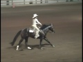 Sparky : Nu Circle Of Hearts  2006 AQR Reining Futurity Champion