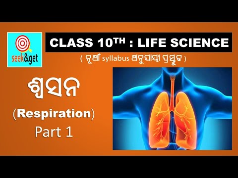 10th life science in odia | chapter 2 part 1 | respiration ଶ୍ଵସନ | seek&get