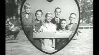 National Velvet 1960's Television Series with Lori Martin