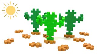 15 Seconds Plus-Plus Cactus
