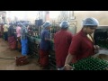 How To Manufacturing Plastic Bottles By Professionals 2020