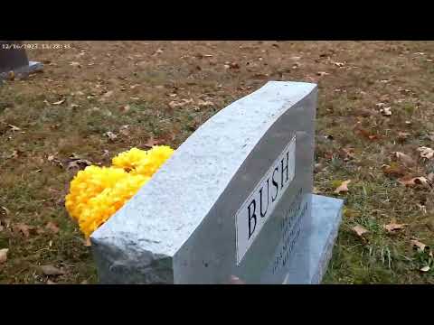 Hill , Johnson Cemetery