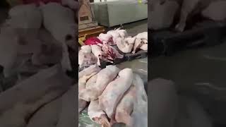 750 kg rotten meat destroyed