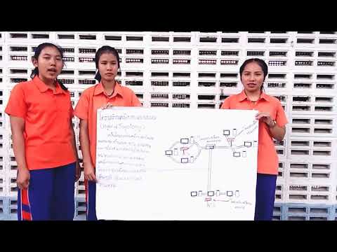 โครงสร้างเครือข่ายแบบผสม