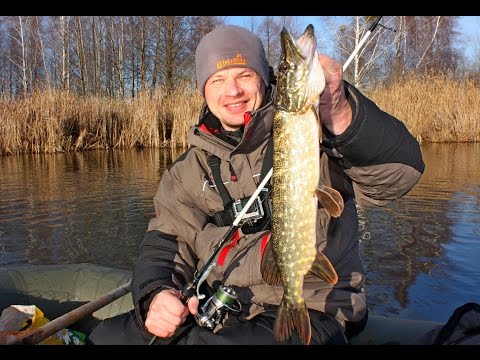 рыбалка с берега киев рыбалка с берега киев