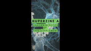 The Single Best Supplement For Cognition