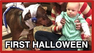 DOG COSTUMES - Riley and Baby's first Halloween - Cute and Funny