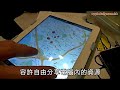 兒童色情