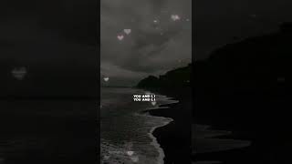 Infinity Harleys In Hawaii