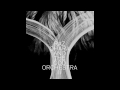 Raz Ohara - Raz Ohara And The Odd Orchestra II - Varsha