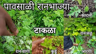 Pavsali Ranbhaji पवसळयतल रनभजयच ओळख