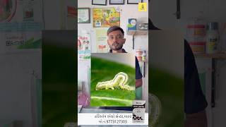તમમ પરકરન ઈયળન નયતરણ મટ Uni Jung