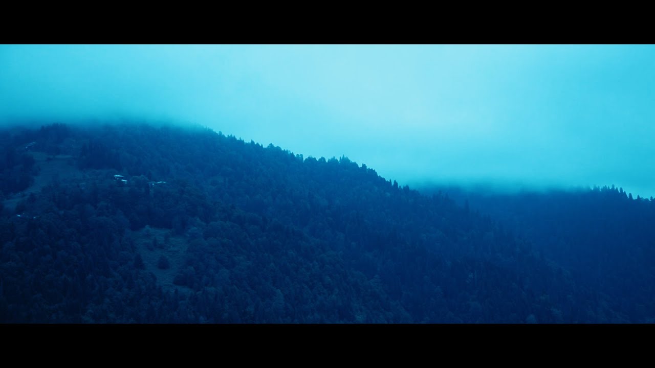 All Videos