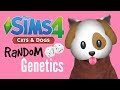 RANDOM GENETICS CHALLENGE - The Sims 4 Cats and Dogs | Doggo Version |