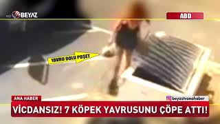 Vi̇cdansiz 7 Köpek Yavrusunu Çöpe Atti