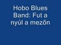 Hobo Blues Band: Fut a nyúl a mezőn