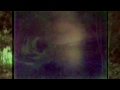 Bibio