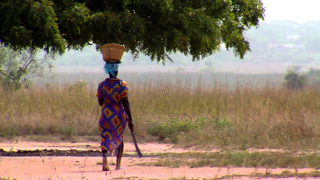 Paseos en África - Paseos en África Paseos en África - Paseos en África