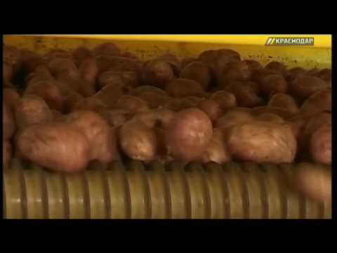 Овощехранилища краснодарского края Овощехранилища краснодарского края