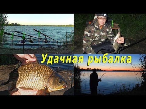 платная рыбалка в алтайском крае на карпа платная рыбалка в алтайском крае на карпа